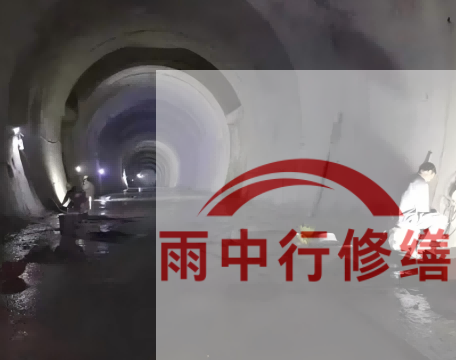 崇明长安镇隧道堵漏工程案例