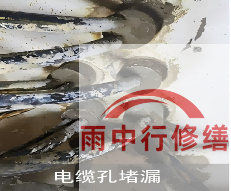 崇明电缆线空洞堵漏加固案例