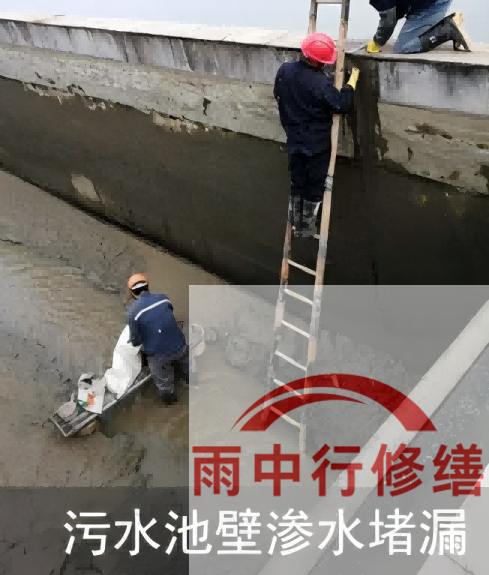 崇明2026年防水龙头半月两次涨价，行业格局重塑信号