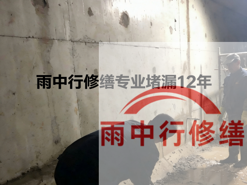 崇明化工池防腐防水修缮